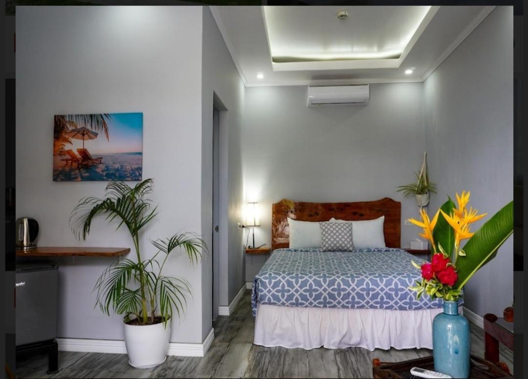 Hotel Palm View Moalboal Exteriér fotografie